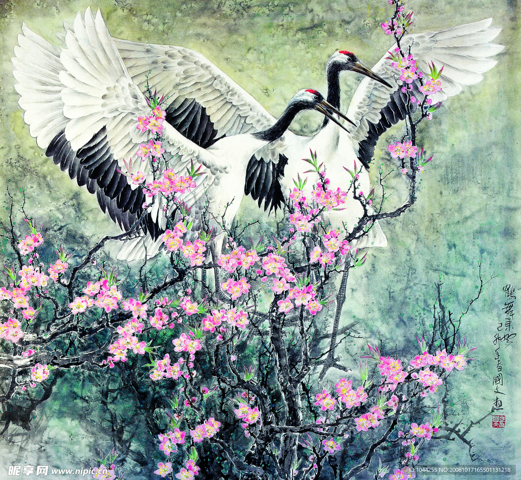 花鸟国画