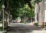 大学校园