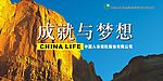 中国人寿保险