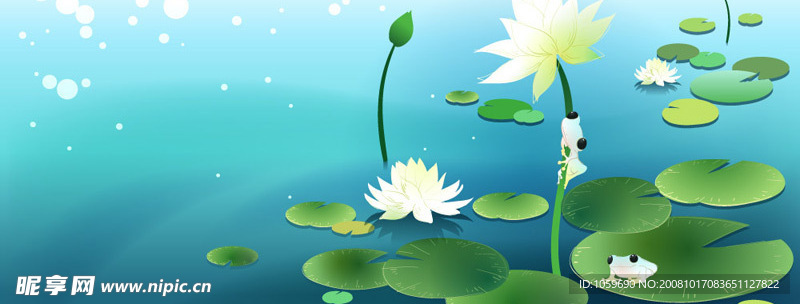 莲花