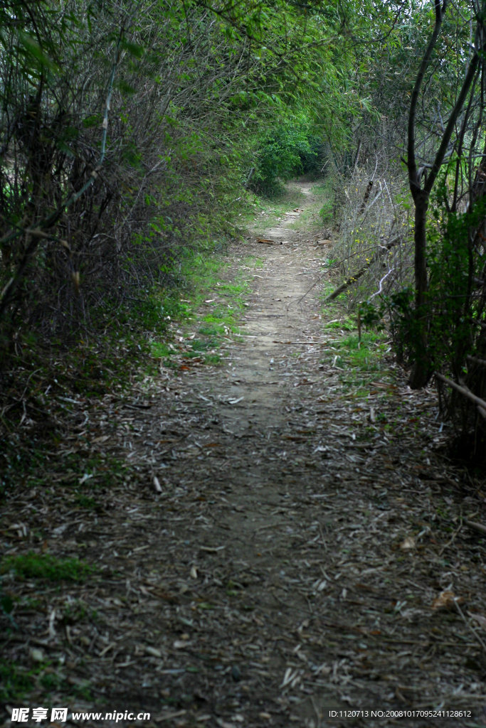 乡间小路