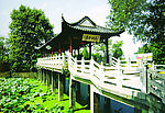 花洲冷泉