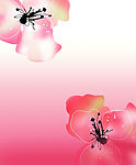 吐艳芬芳