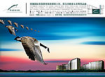 观澜国际花园宣传报广