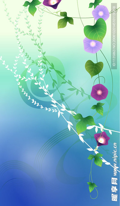 矢量牵牛花