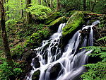 高山流水