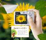 手拿相机