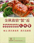 大闸蟹广告