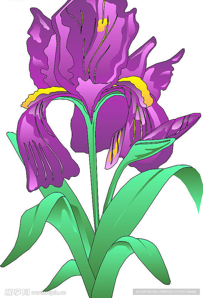 红花