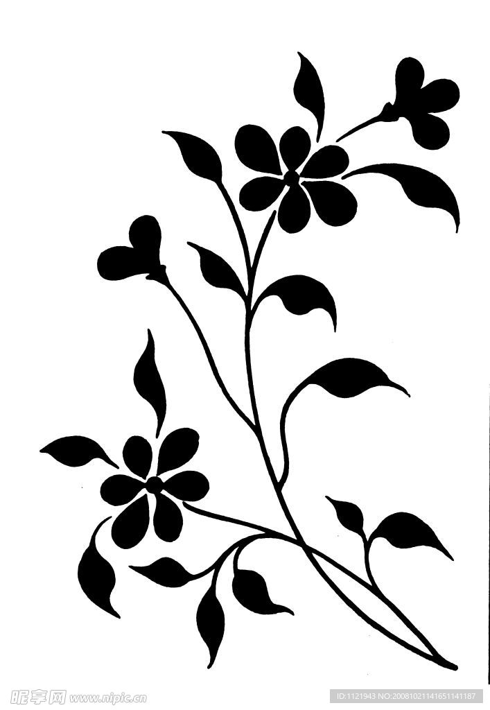 花枝