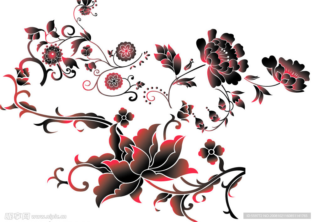 漂亮花纹