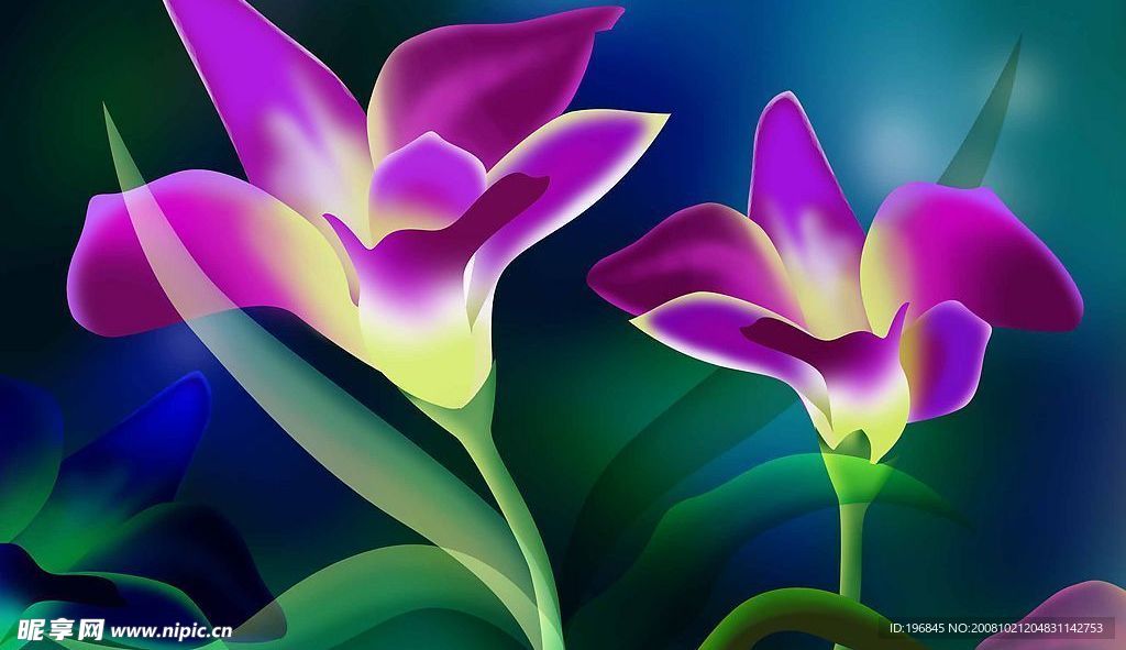 韩国花纹