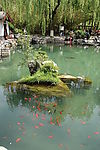 水中小岛