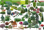 PSD景观树木素材