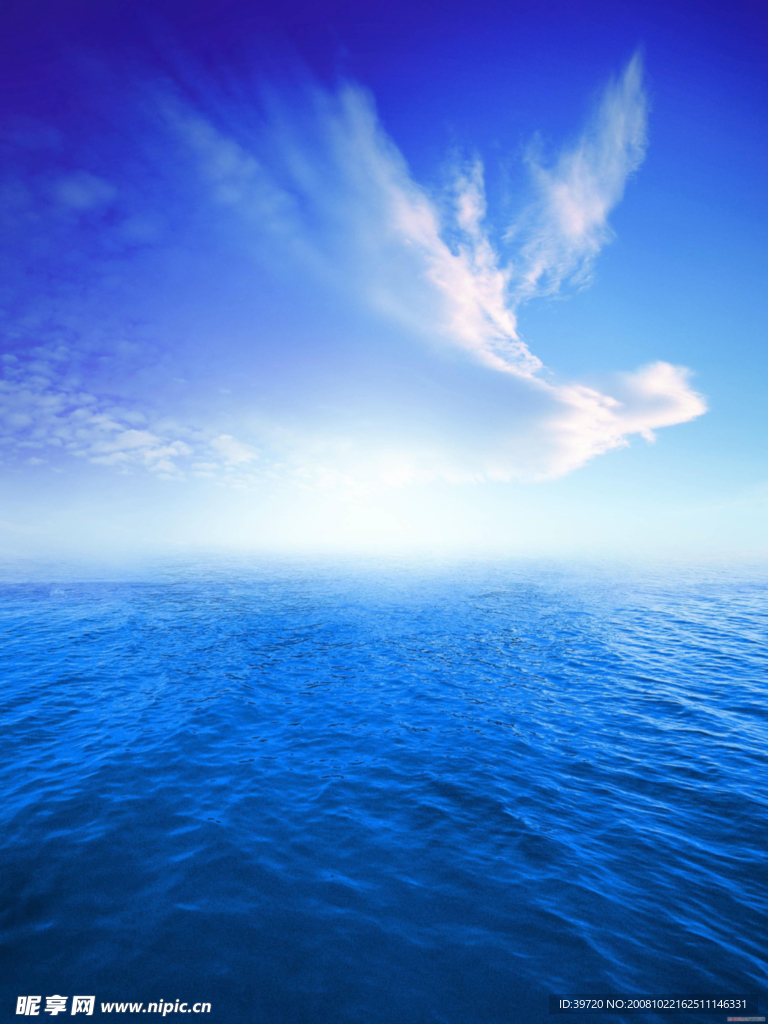 大海