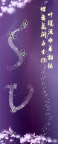 sv蝶依