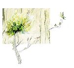 时尚淡雅花纹
