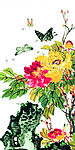 花 蝴蝶