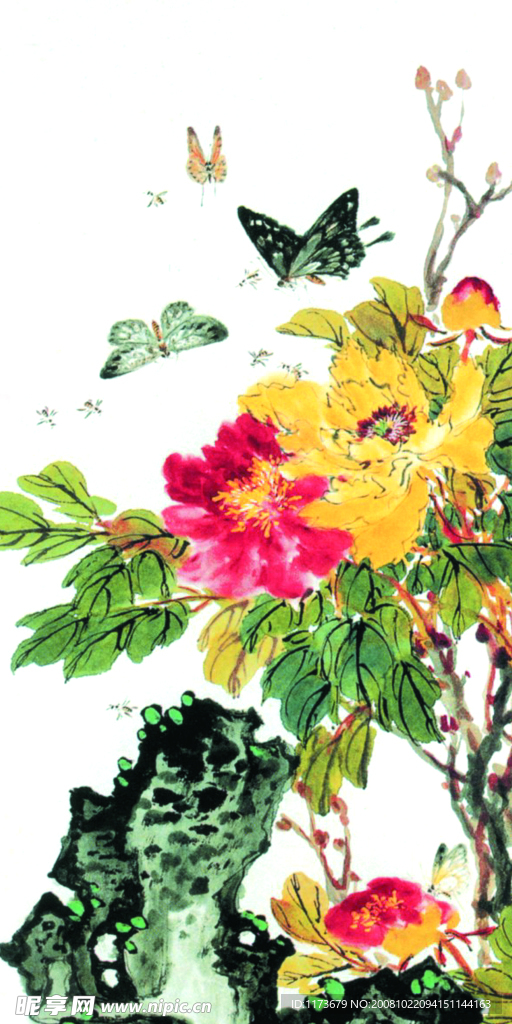 花 蝴蝶