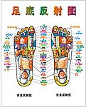 足底反射图