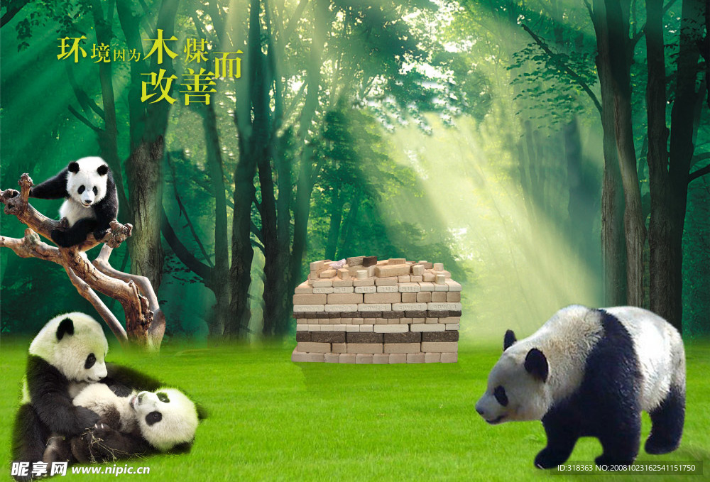 木煤广告设计 熊猫 森林