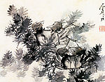 水草