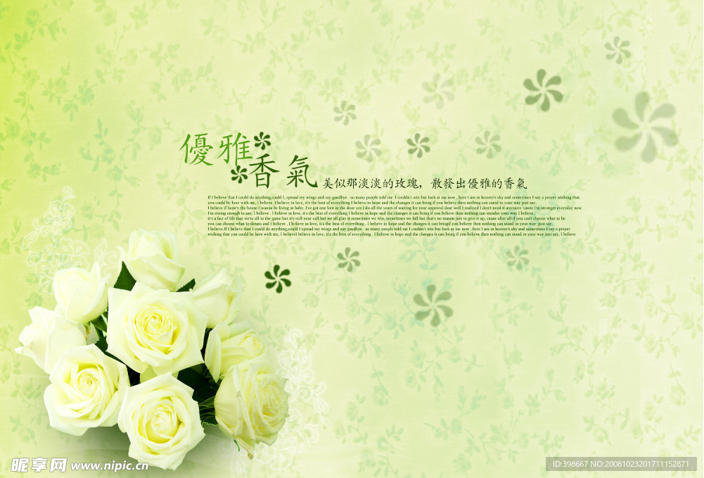 漂亮白玫瑰花