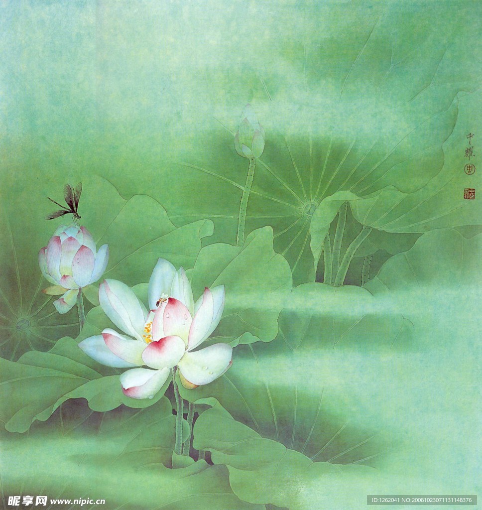 晓雾