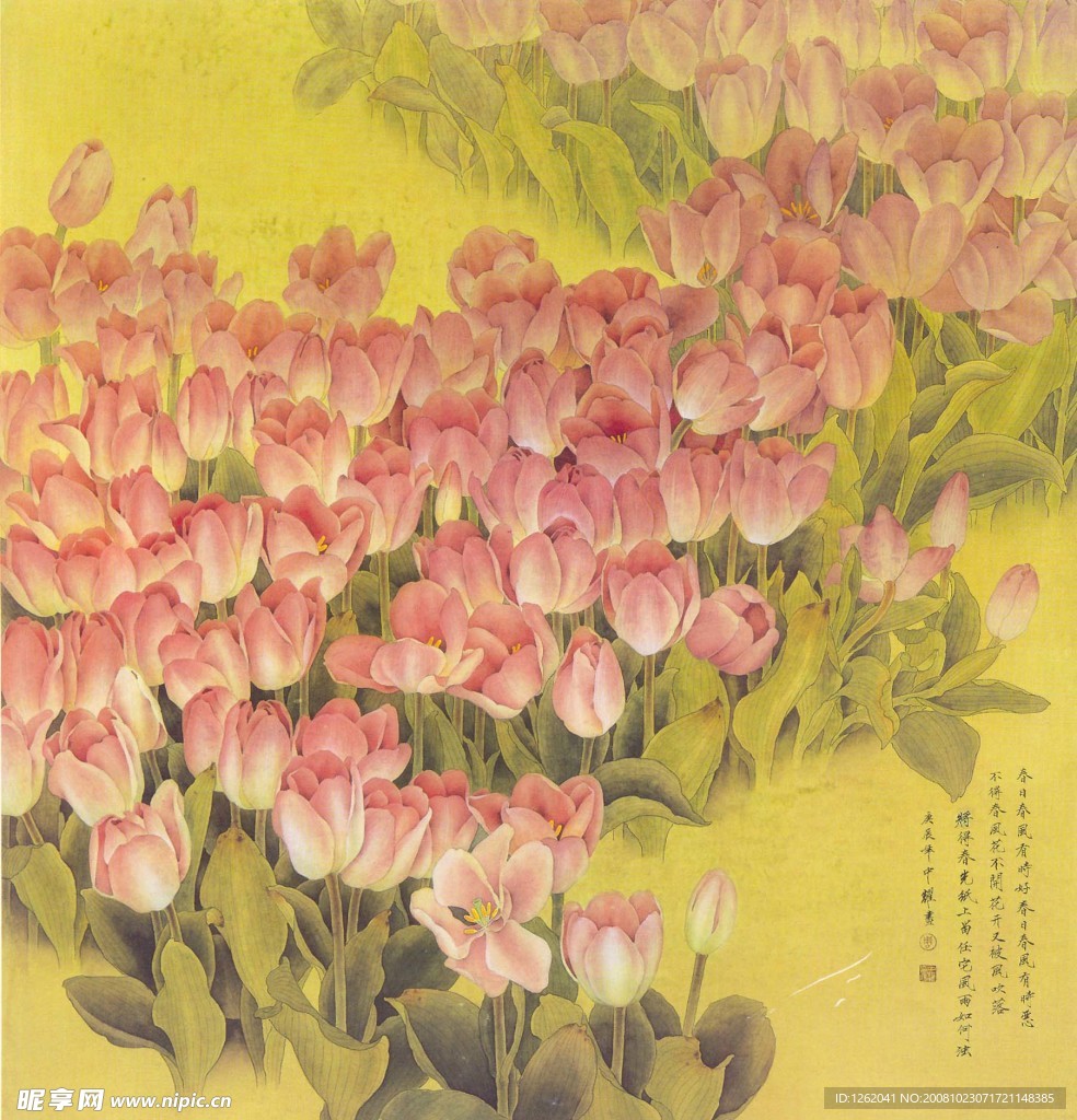 郁金香