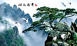 松鹤延年图