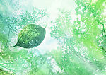 梦幻