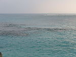 大海