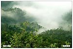青山