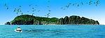 宽幅海驴岛