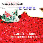 花瓣2006