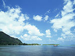 风景