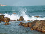浪花