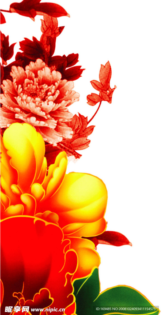 牡丹花