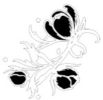 日系黑白花朵花苞PSD
