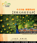 房产灯箱