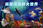 海鲜大世界