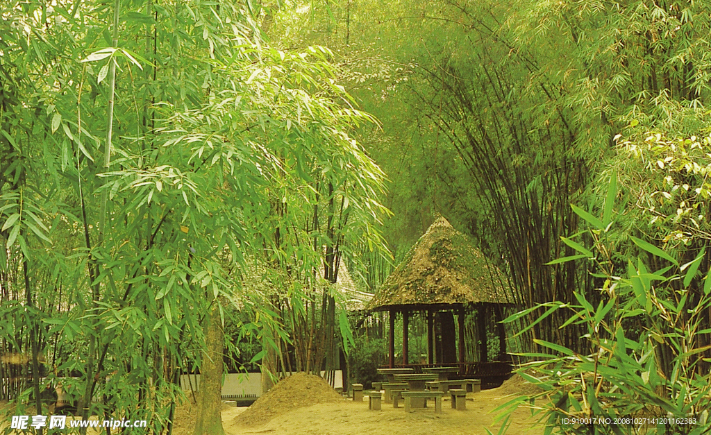 杜莆草堂