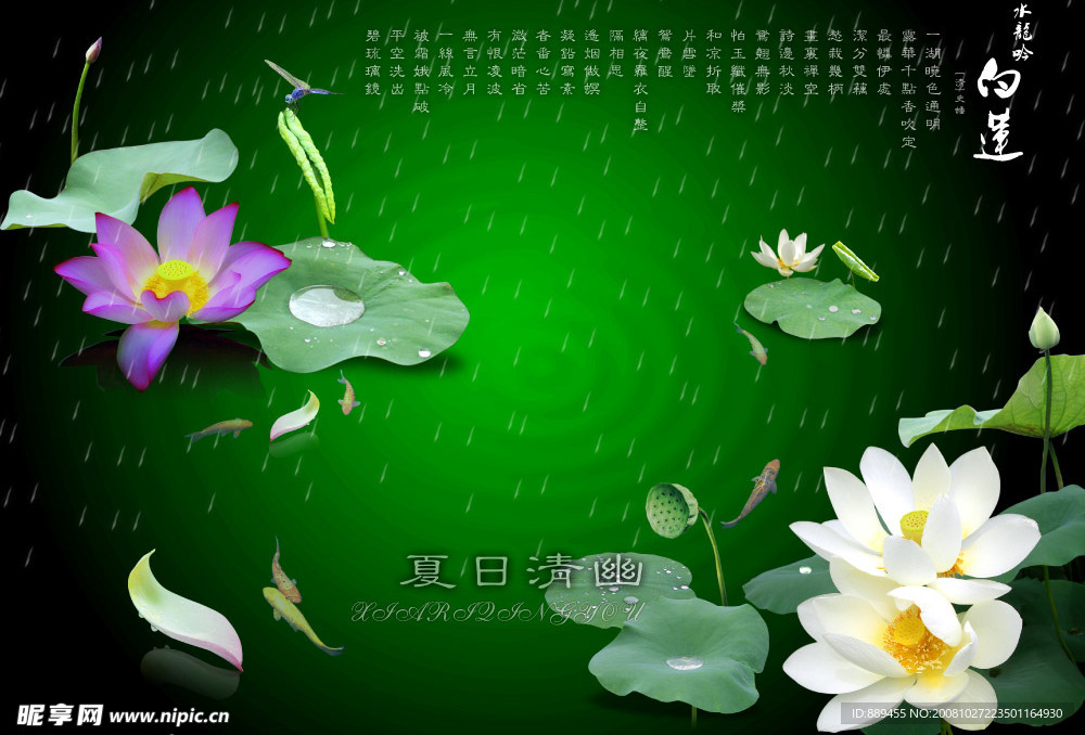 古典婚纱模板