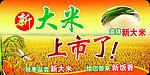 大米