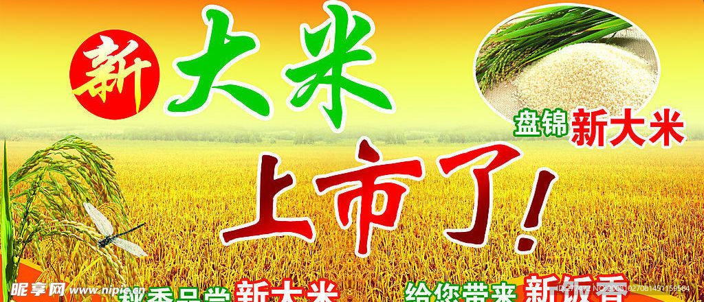 大米