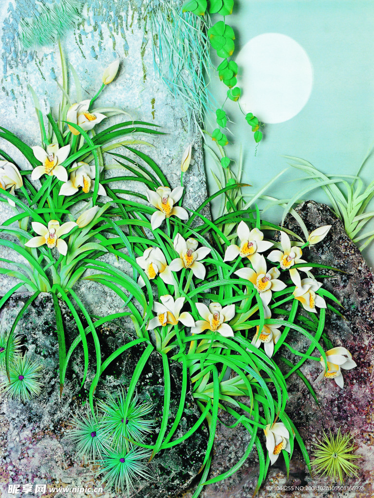兰花