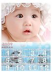2009年年历