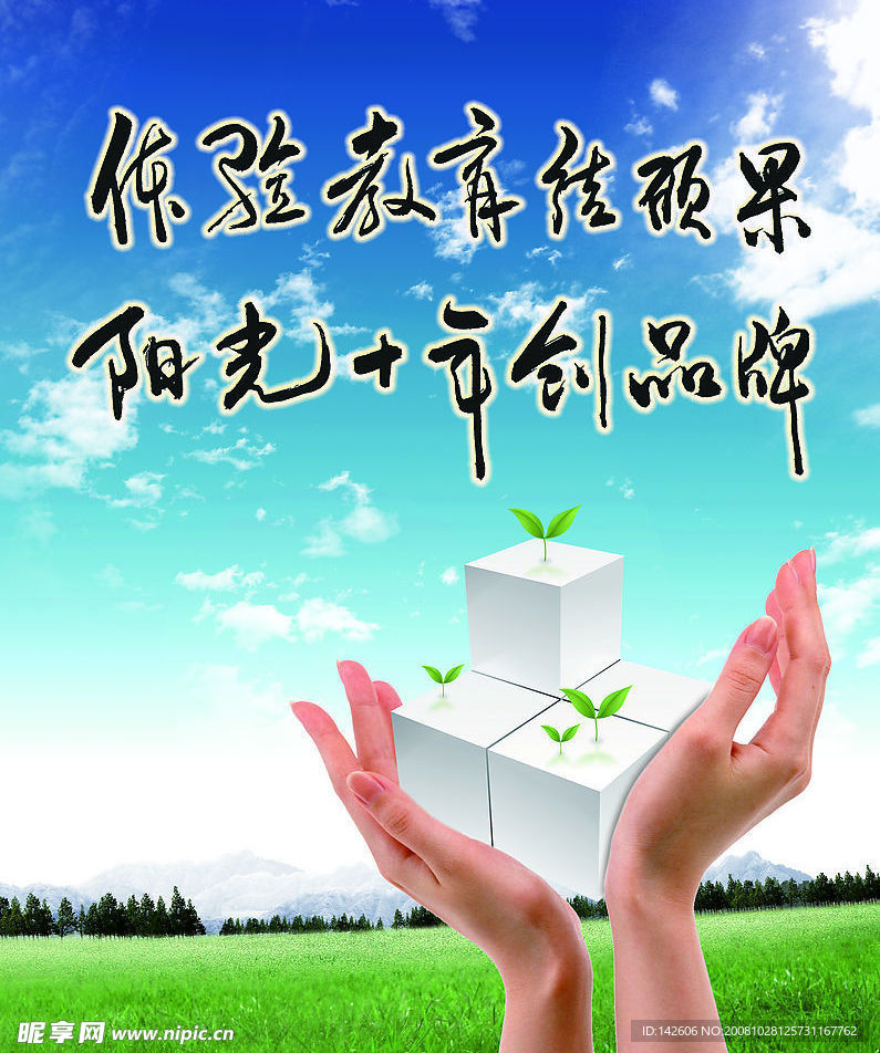 阳光 体验 手 蓝天