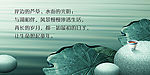 湖荷