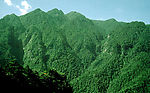 井冈山五子峰山峰